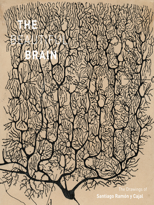 Title details for The Beautiful Brain by Larry W. Swanson - Available